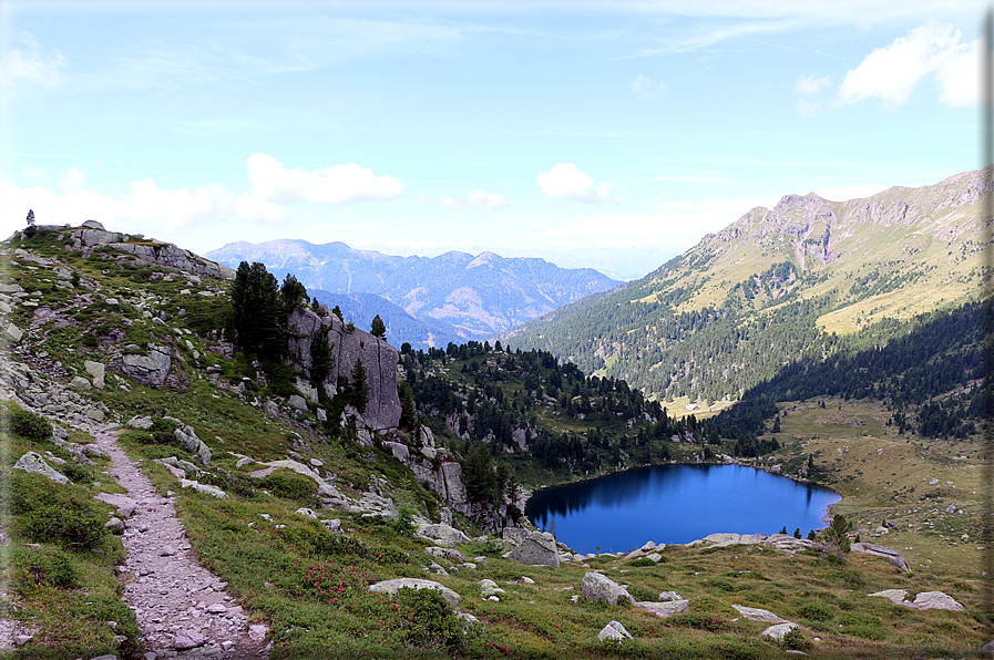 foto Forcella di Montalon